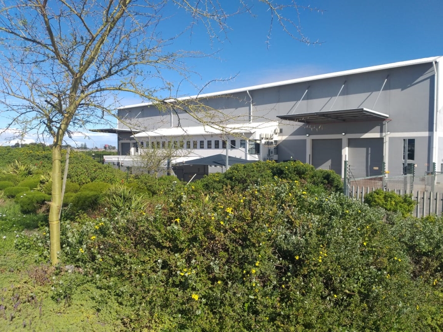 To Let Commercial Property for Rent in Airport Industria Western Cape